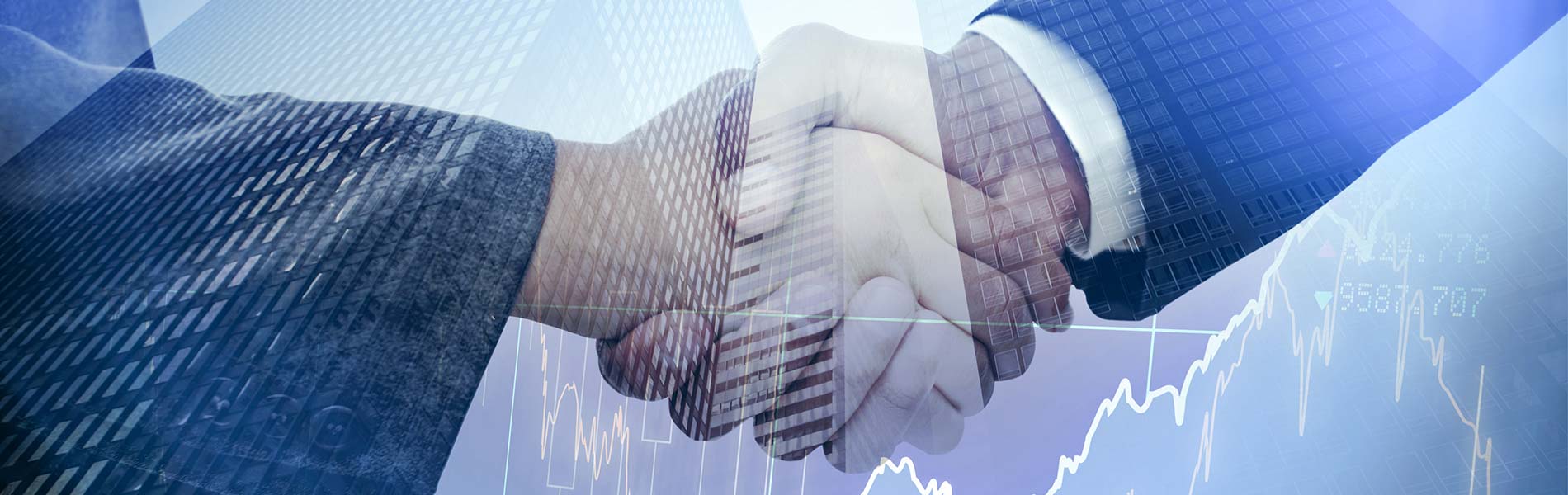 Forensic Accounting and RAT-STATS Experts Richmond VA